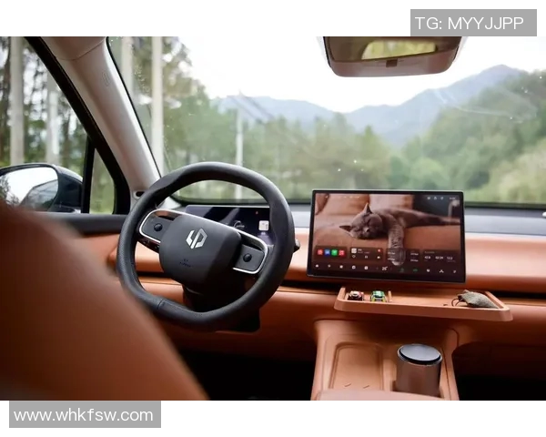 汽车保养全攻略 定期检查与常见故障排除指南助你延长爱车使用寿命 汽车保养全攻略 定期检查与常见故障排除指南助你延长爱车使用寿命