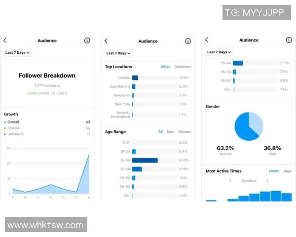 深入探讨Instagram平台的技术表现与数据分析方法 深入探讨Instagram平台的技术表现与数据分析方法