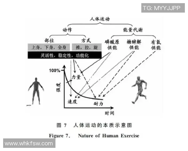 运动心理学在竞技表现提升中的作用与应用探讨