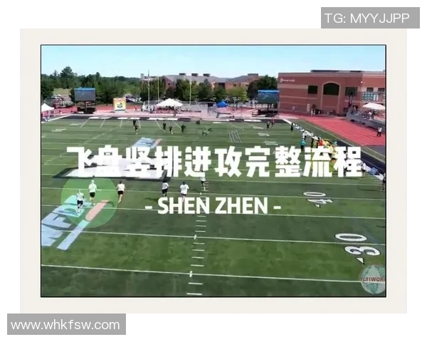 成都飞盘队与武汉飞盘队的速度对决赛后分析与战术探讨