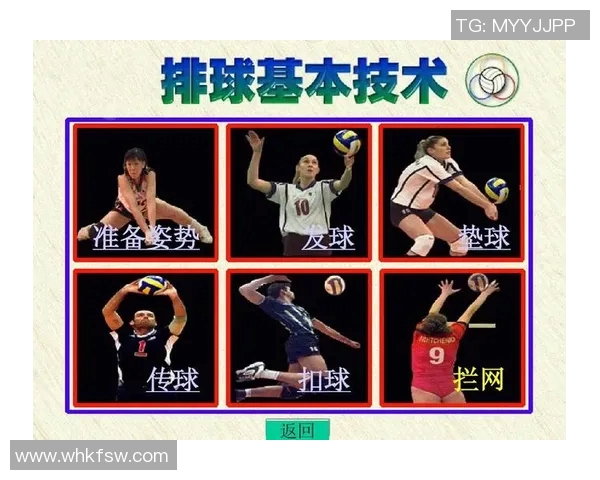 南京排球队反击体系解析与战术创新探讨