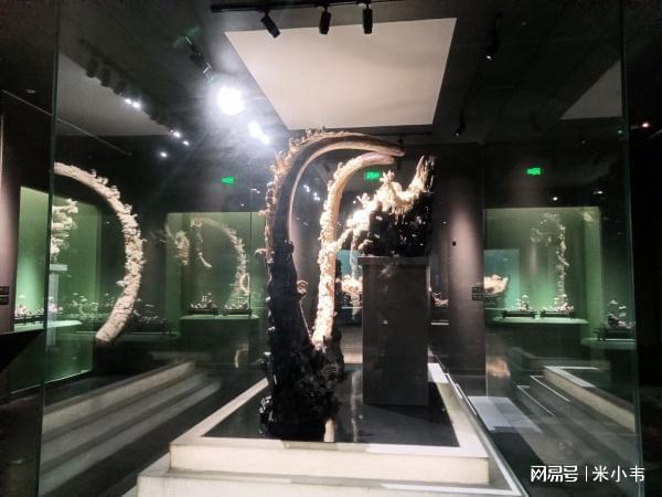 今年会首页宁夏博物馆展柜大揭秘：绝美文物背后的高科技保护者！(图5)